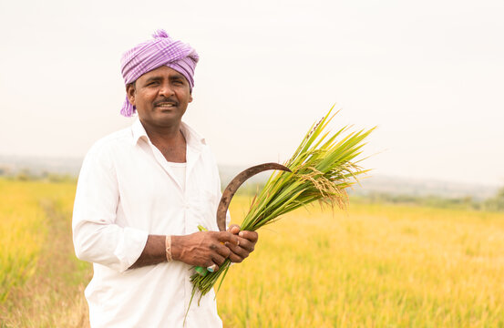 Farmer ID शी संबंधित ही माहिती जाणून घ्या नाहीतर, त्याशिवाय तुम्हाला पीएम किसान हप्ता मिळणार नाही.