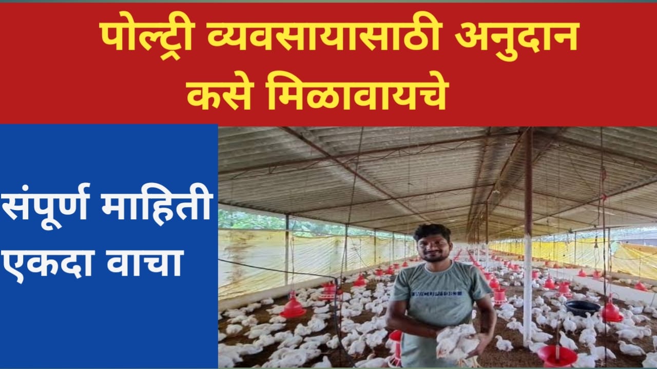 poultry farming