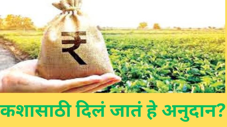 कशासाठी दिलं जातं हे अनुदान?