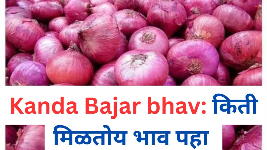 कांद्याचा बाजारभाव : शेतकऱ्याची हुरहुर, ग्राहकाची घालमेल, आणि व्यापाऱ्यांची गणितं