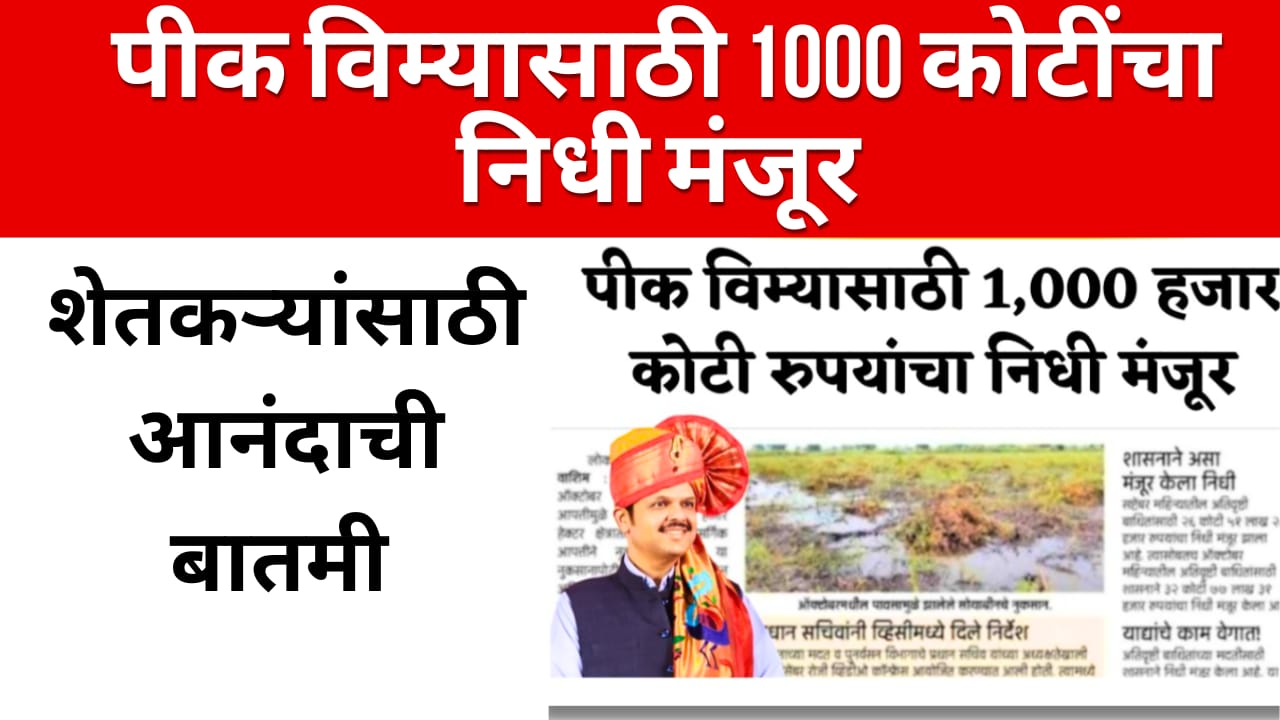 crop insurance महाराष्ट्र सरकारने पीक विम्यासाठी 1000 कोटी रुपयांचा निधी मंजूर केला