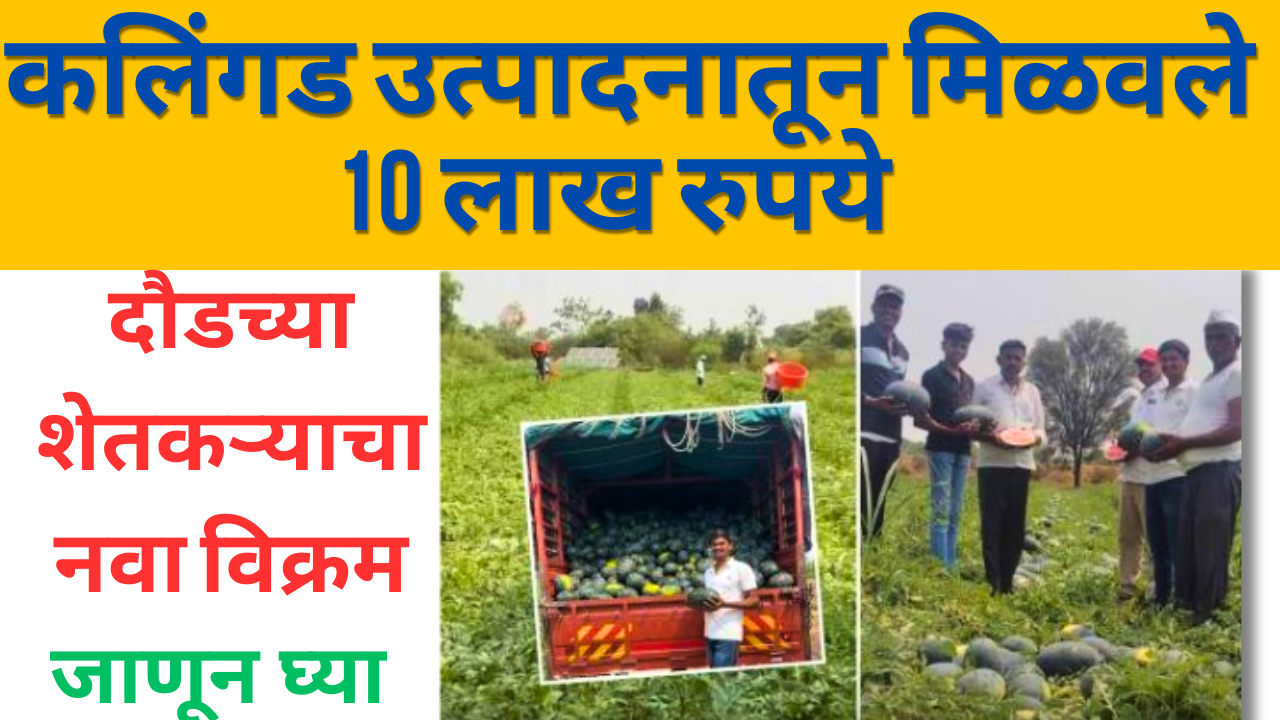 दौंड येथील युवा शेतकरी अक्षय शिवाजी चौधरी यांची कलिंगड उत्पादनाची यशोगाथा