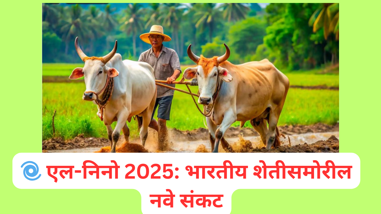 🌀 एल-निनो 2025: भारतीय शेतीसमोरील नवे संकट