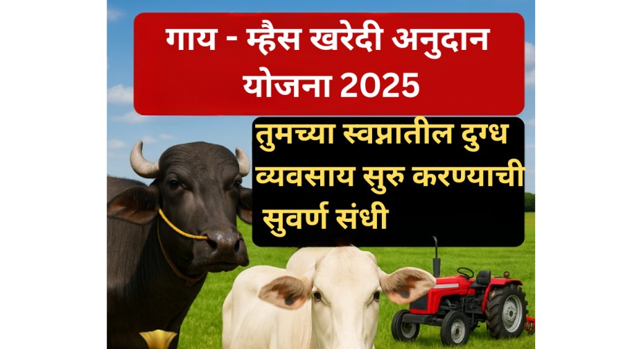 🐄 "गाय-म्हैस खरेदी अनुदान योजना 2025" – तुमच्या स्वप्नातील दुग्धव्यवसाय सुरू करण्याची सुवर्णसंधी! 💰🚜