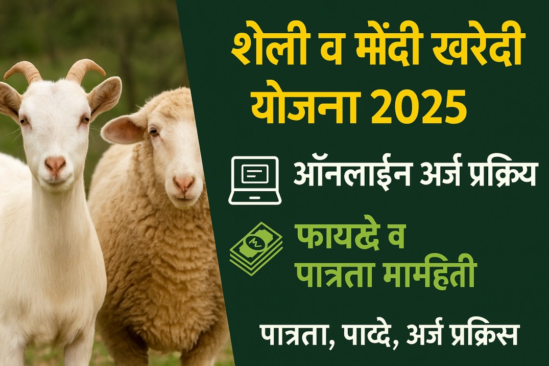 🐐 शेळी व मेंढी खरेदी योजना 2025 – ऑनलाईन अर्ज प्रक्रिया, फायदे व पात्रता माहिती