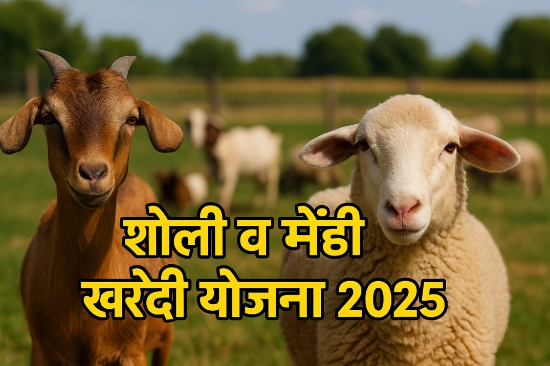 अर्ज कसा करायचा?